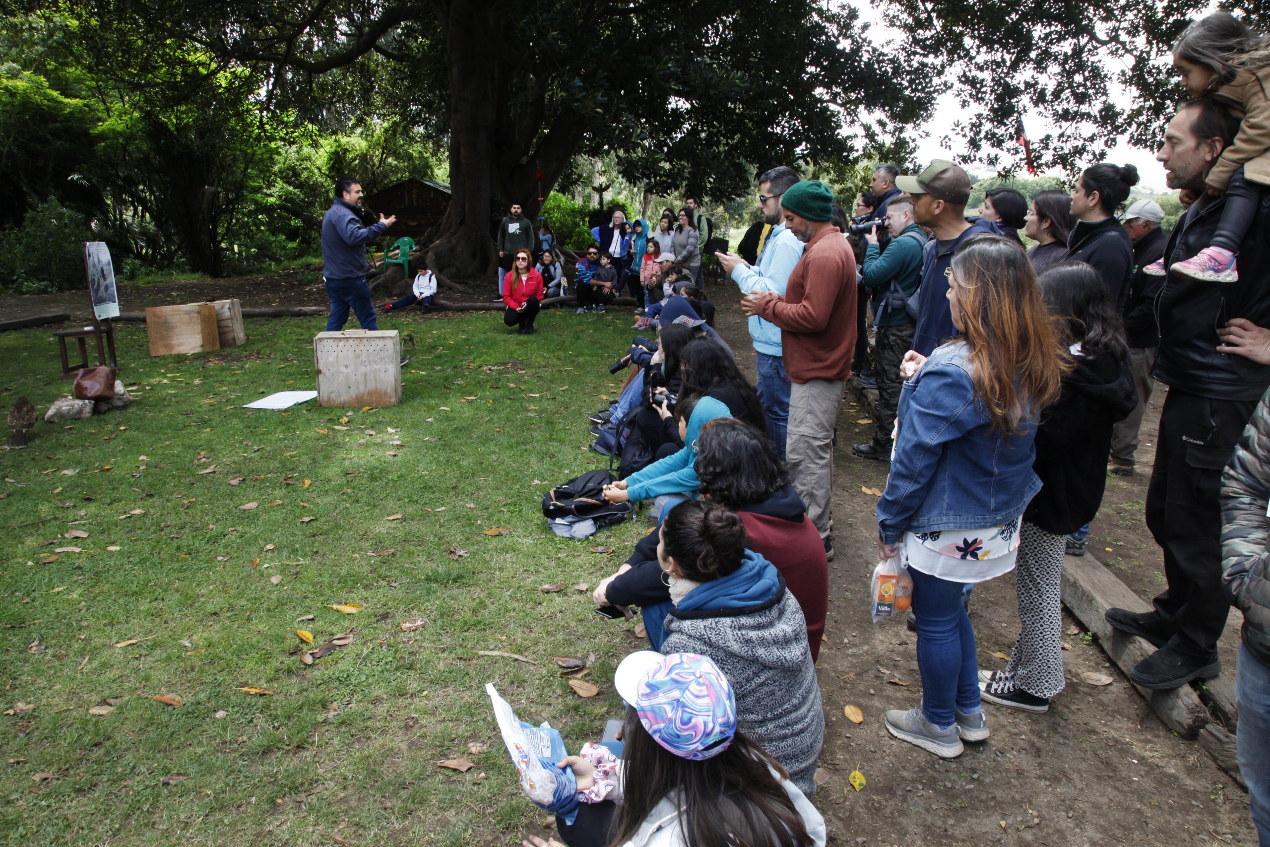 Festival de aves